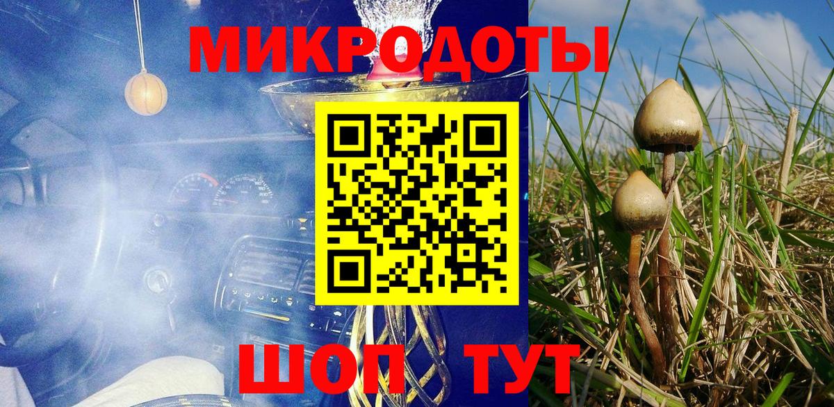 Десногорск  Псилоцибиновые грибы мухоморы  Вход с VPN 